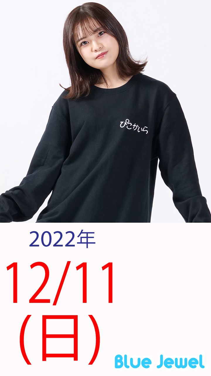 2022_12_11.jpg