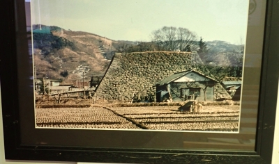 『昭和38(1963)年、高島城跡遠景』（高島城展示物）