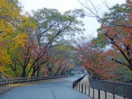 熊本城の行幸坂