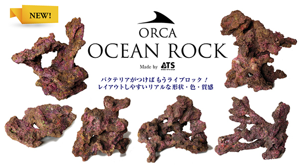 Oceanrock_topbn.jpg