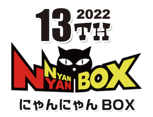 box13-1.png