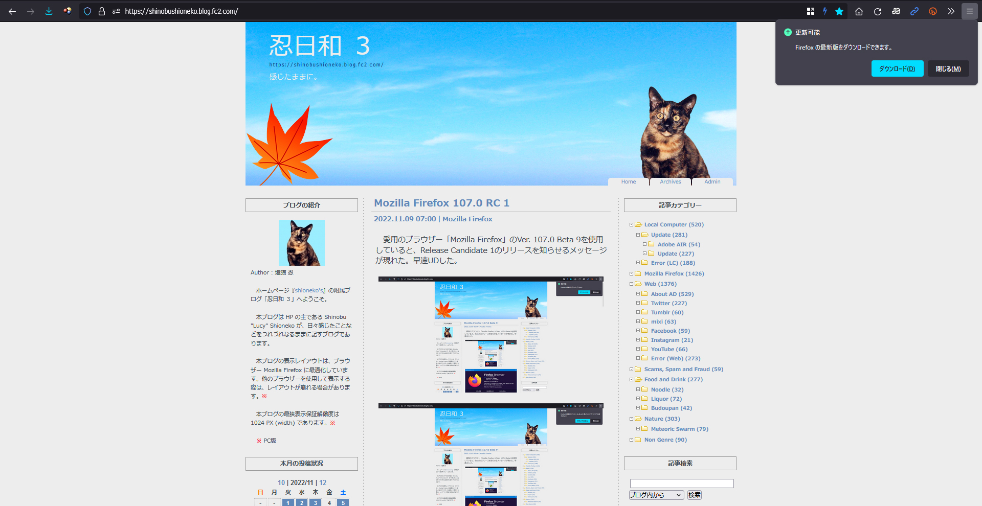 Mozilla Firefox 107.0 RC 2