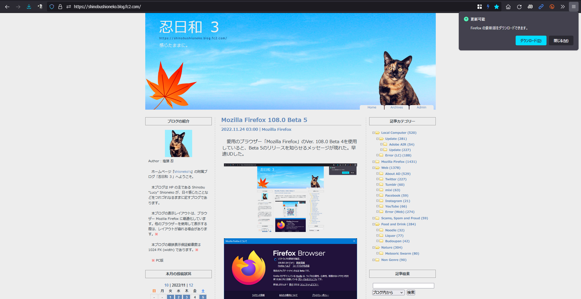 Mozilla Firefox 108.0 Beta 6