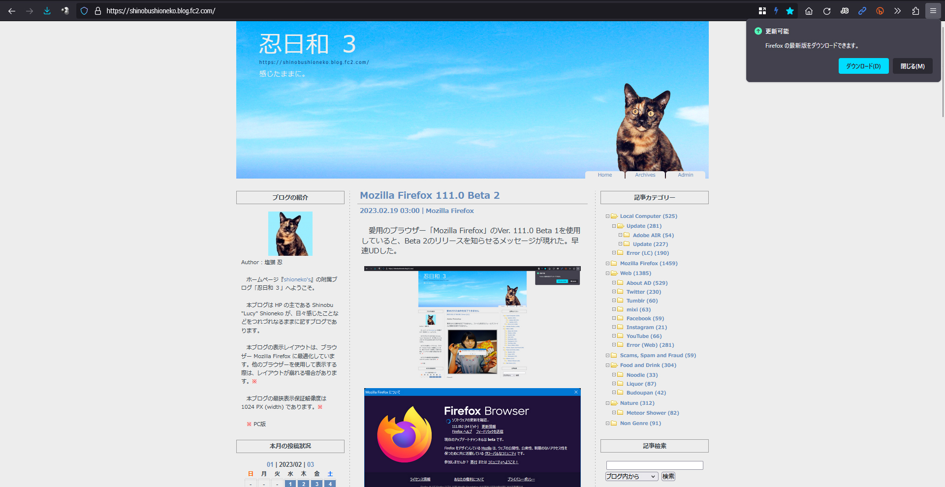 Mozilla Firefox 111.0 Beta 3