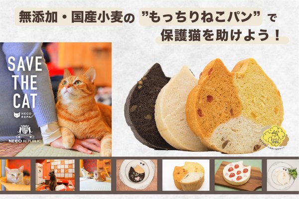 もっちりねこパンで保護猫支援バナー