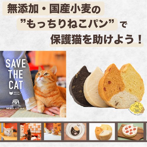 もっちりねこパンで保護猫を助けよう