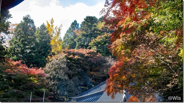 五徳山水澤寺の紅葉