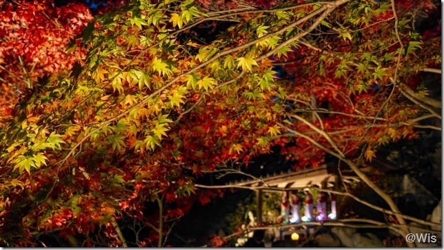 萬松山崇禅寺の紅葉ライトアップ
