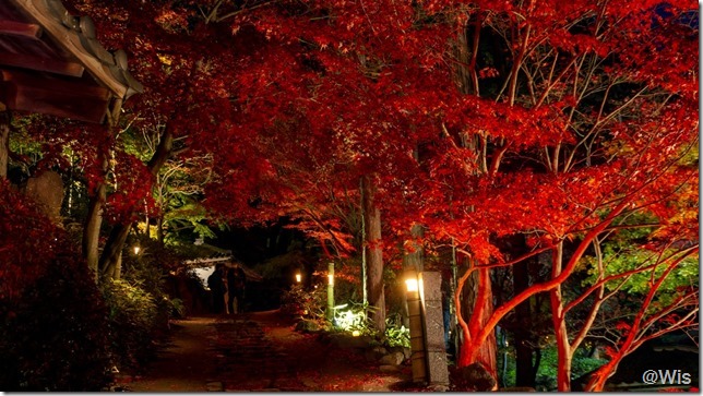 萬松山崇禅寺の紅葉ライトアップ